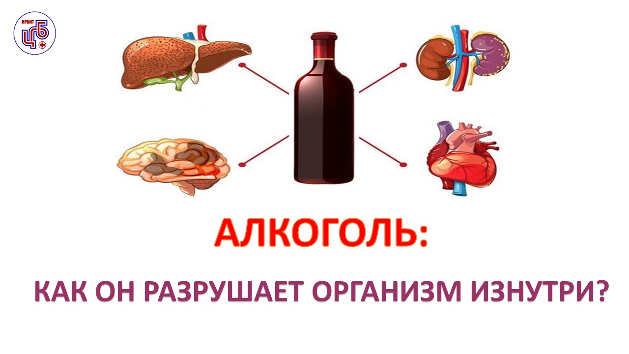 Алкоголь: как он разрушает ваше здоровье изнутри?