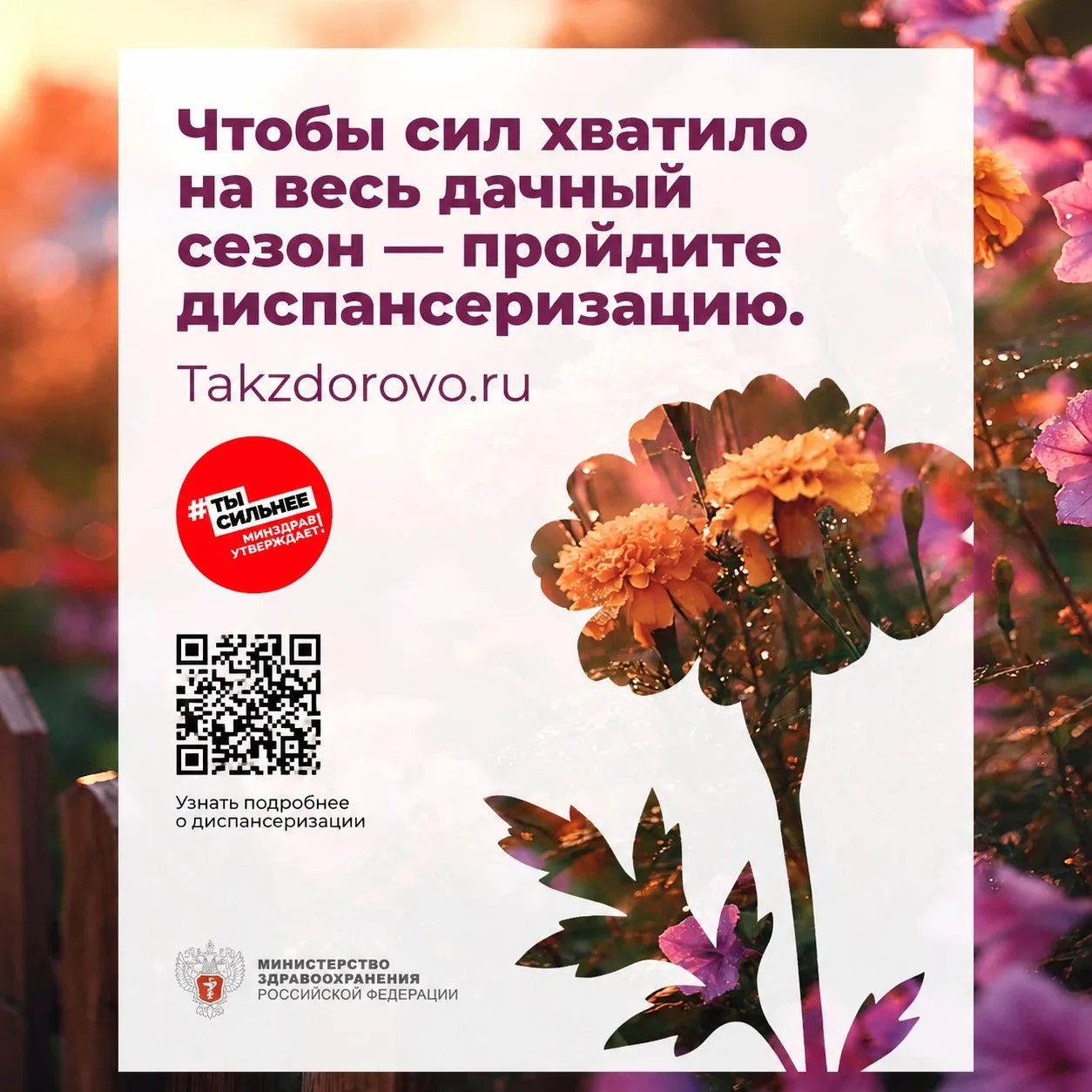 Дачный сезон в разгаре? Не забудьте про самое главное — здоровье!